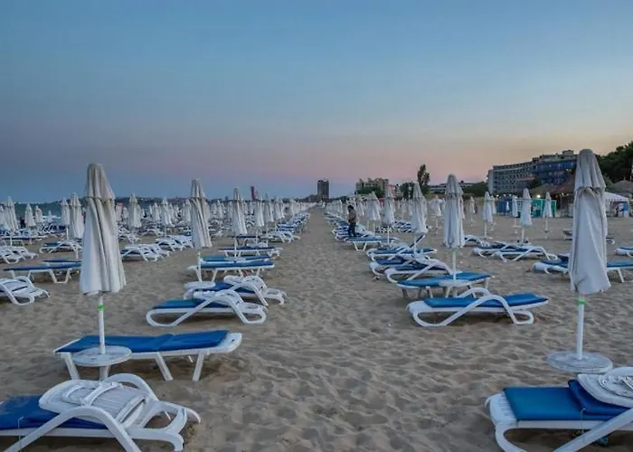 Aparthotel Grand Kamelia